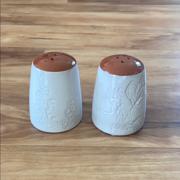 Pier 1 Glazed Terracotta Salt & Pepper Shaker - Picture 4 of 12